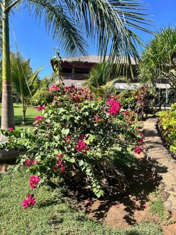 Villa Milena Nosy-Be Exterior foto